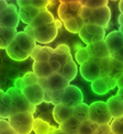 Biological Science Collection